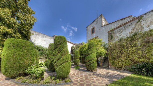 A courtyard with a checkered tile floor, surrounded by neatly trimmed hedges and trees, leading to a building with a white facade and a red-tiled roof. - Palacio del Virrey Laserna (Jerez de la Frontera)