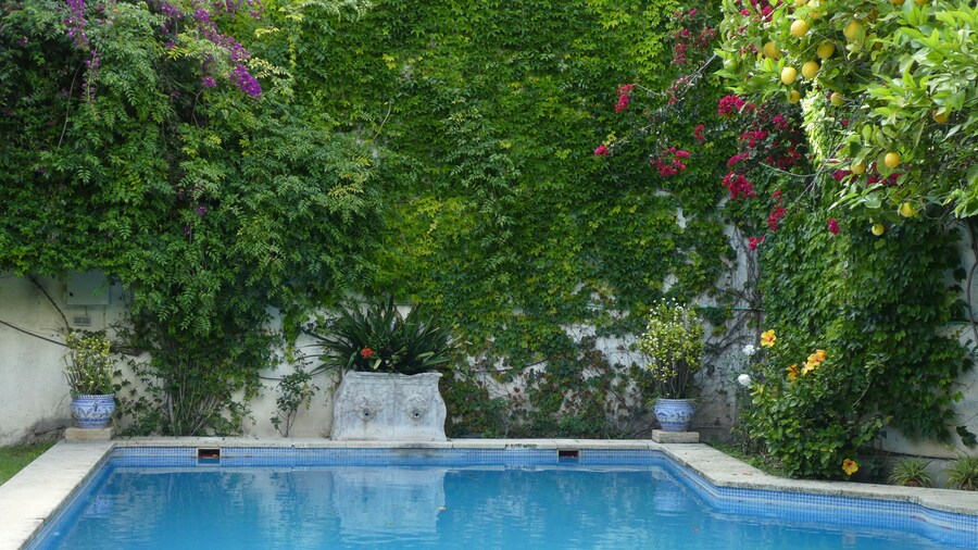 Palacio del Virrey Laserna