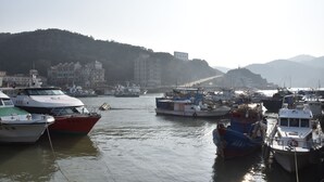 A harbor with various boats docked, a bridge in the background, and buildings on a hillside. - Fu Ao Wo & Hostel (Nangan)