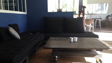 TV, DVD player, table tennis, books