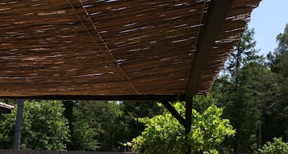 PROMO SEM 14 JUILLET MAISON DU BASSIN AVEC PISCINE chauffée et cloturée