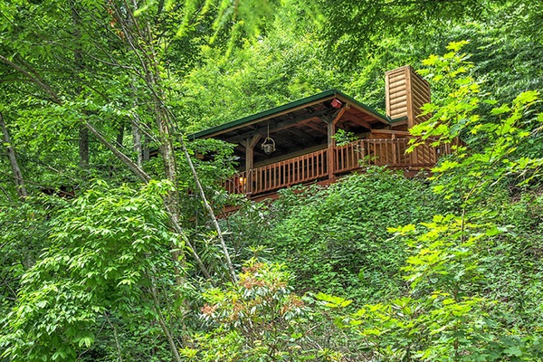 Come stay at our Luxury Logs Cabin if you are ready for some peace and quiet.