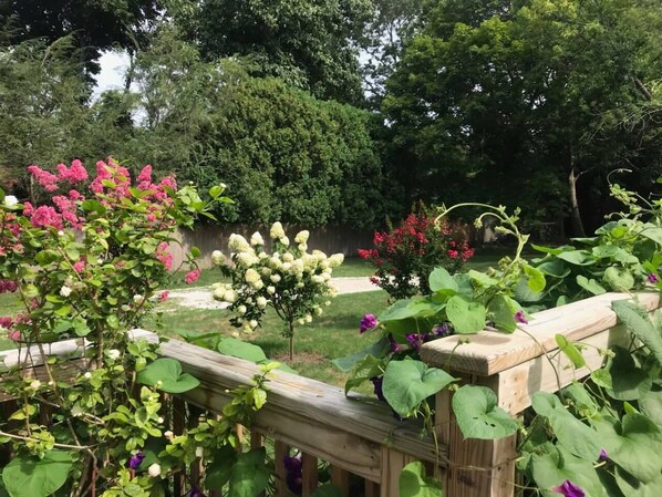 A garden with various flowering plants and a wooden fence.