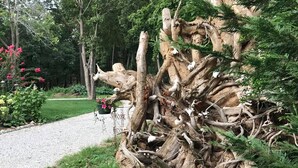 Un jardín con un gran tronco y ramas de árbol, rodeado de follaje y flores.