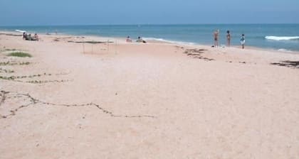 Atemberaubende Direct Oceanfront Home; Vorgarten Strand; Ideal für ein Paar oder Familien
