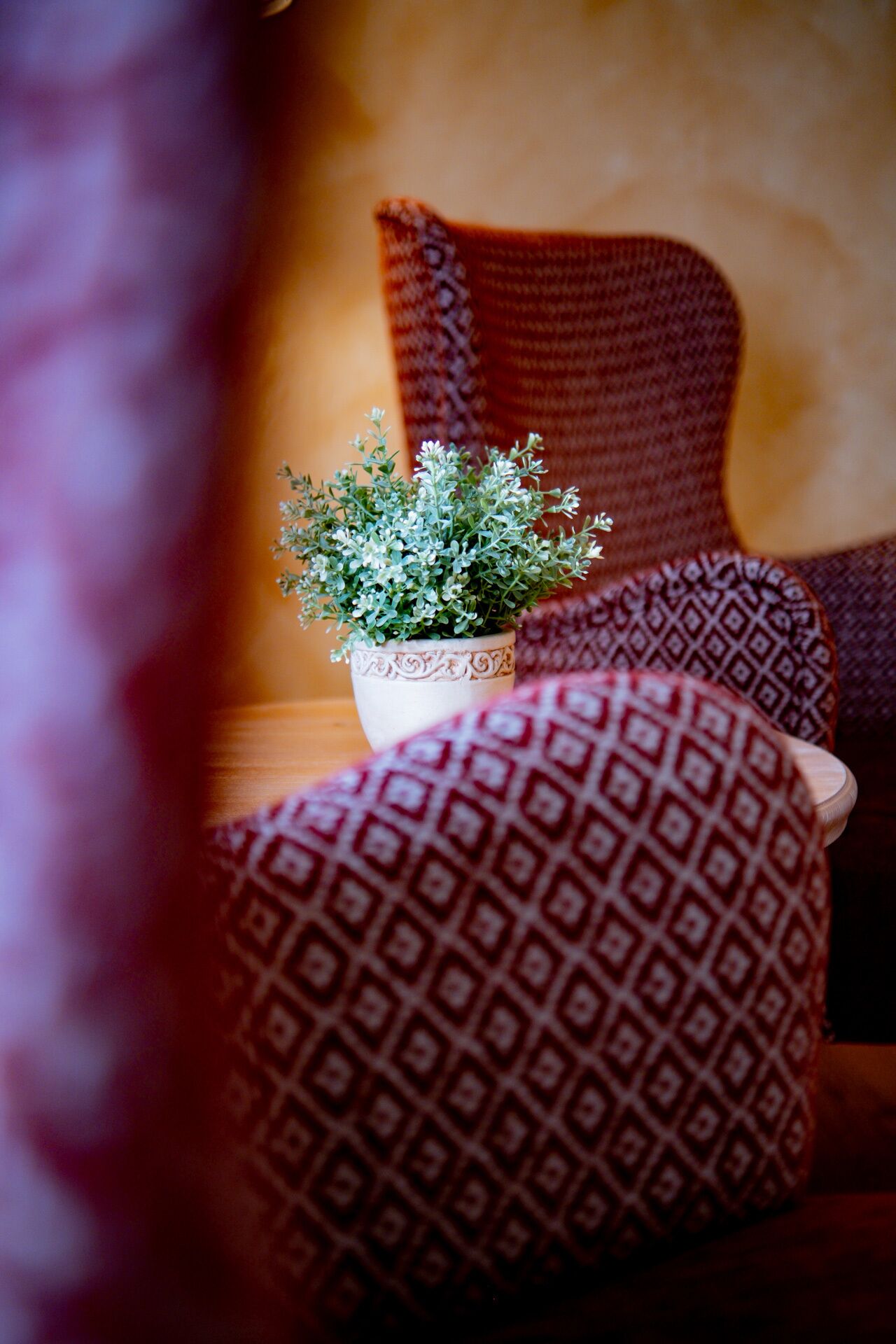 Een potplant op een houten tafel met gestreepte kussens.