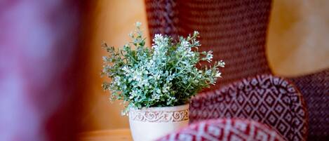 A potted plant on a wooden table with patterned cushions.