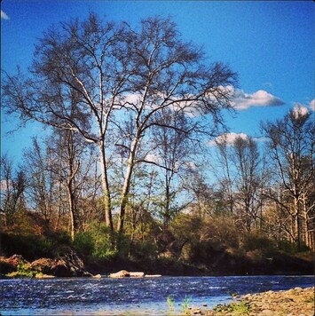 Owego Creek view 