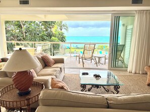 Flachbildfernseher, DVD-Player, Bücher, Videothek