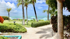Un camino que lleva a una playa con palmeras y sombrillas.