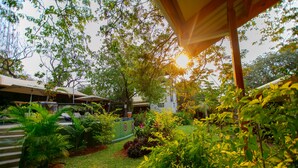 Un jardin luxuriant, avec une variété de plantes et un belvédère.