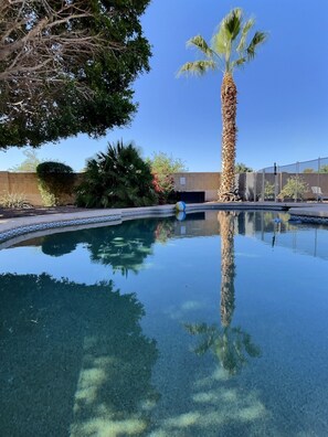 Pool - The Walcott Tempe - Private Pool, Park, Pool Table (Tempe)