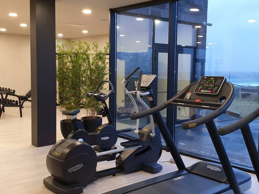 A gym with cardio equipment, a mirror, and a view of the ocean.