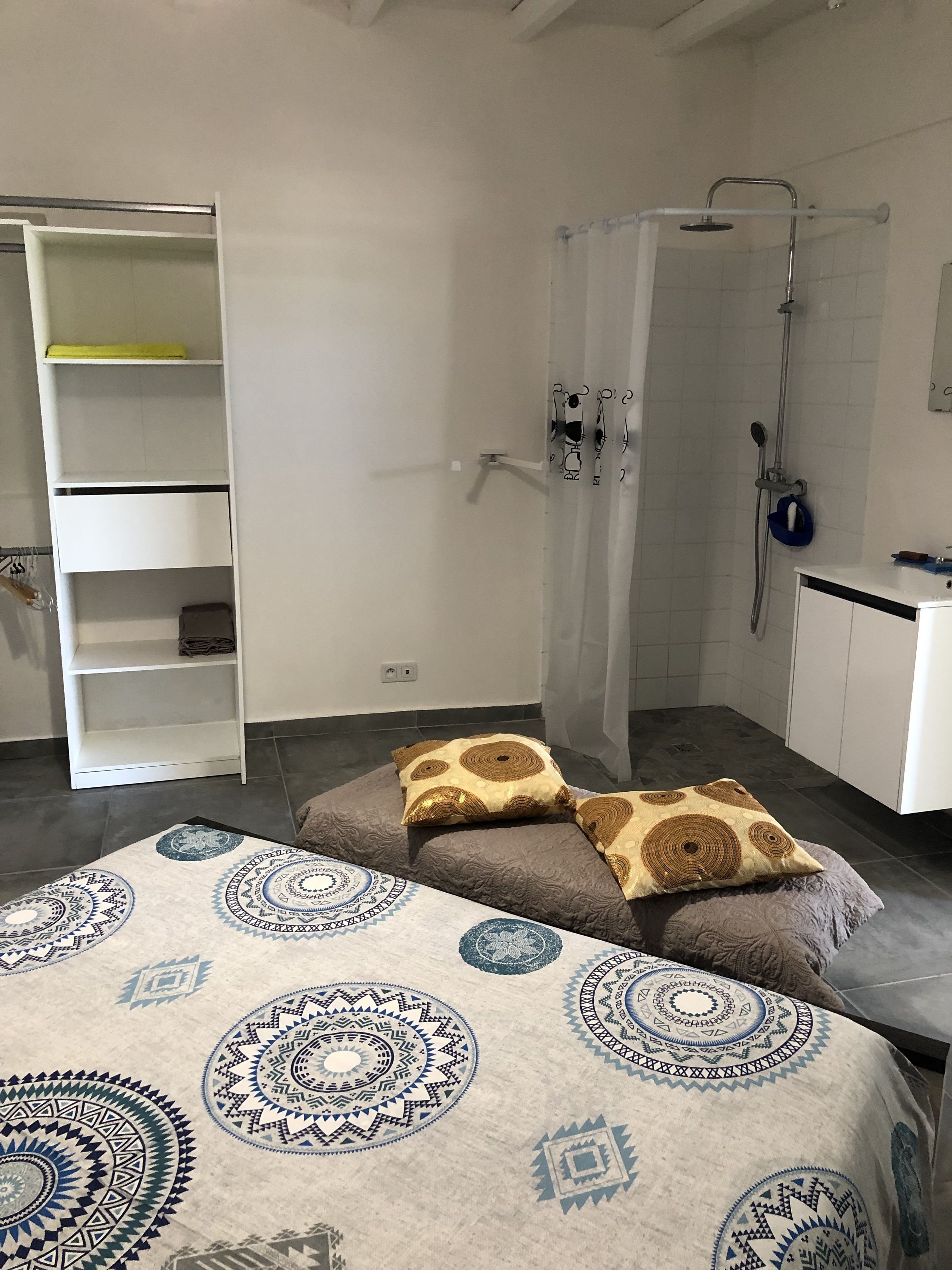 A bedroom with a bed, a wardrobe, a shower, and a small desk.