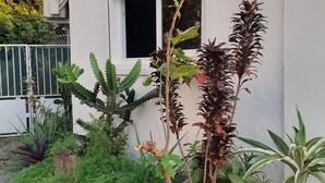 Ein Garten mit verschiedenen Pflanzen und einem weißen Gebäude mit einem Fenster.