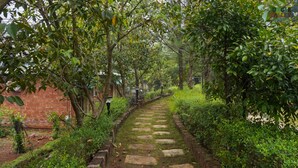 Um caminho de pedra ladeado por vegetação exuberante e um muro de tijolos.