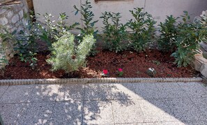 Double Room, Garden View (1) | Garden view