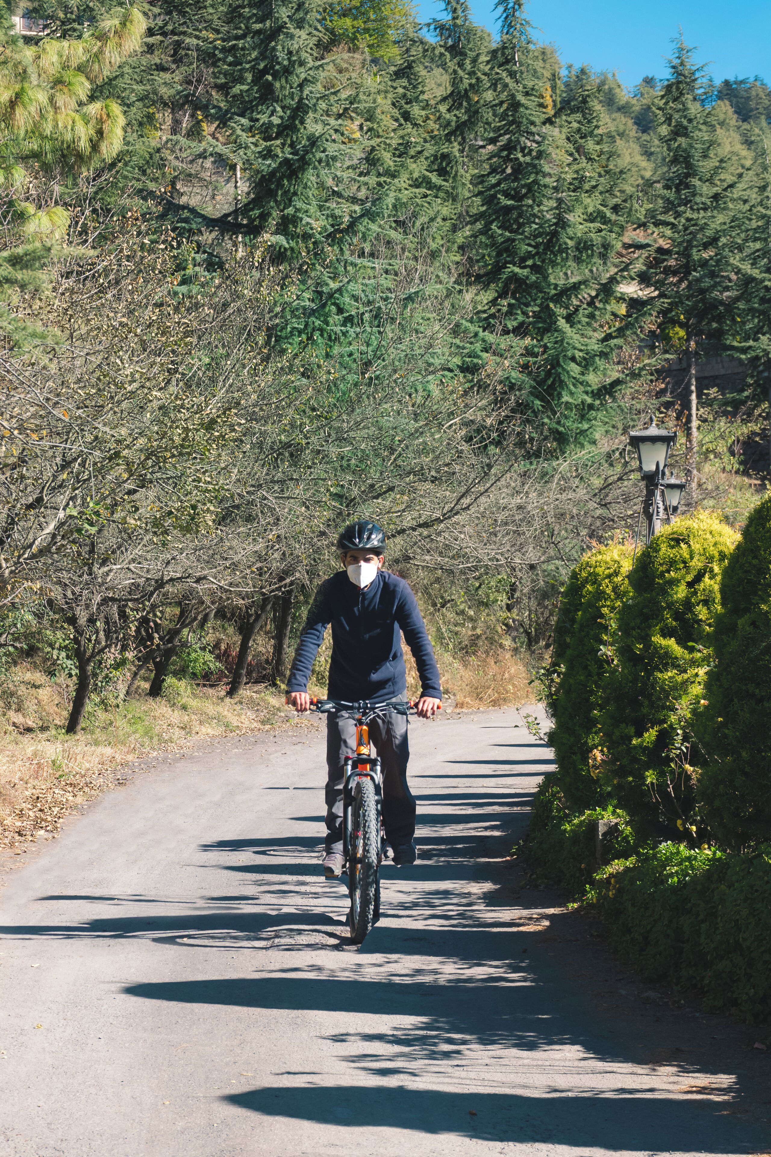 Une personne à vélo circule sur un chemin pavé, bordé d’arbres et de verdure.