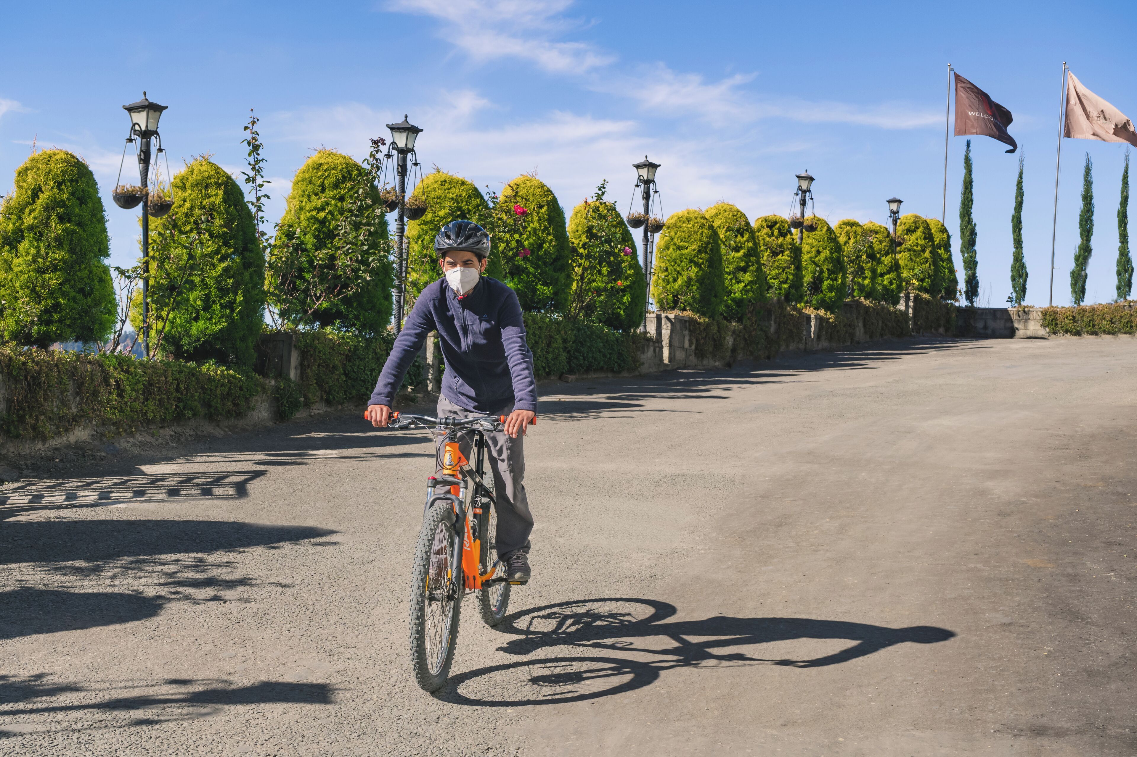 En cyklist på en asfalterad stig, med välklippta häckar och gatlyktor på vardera sidan.