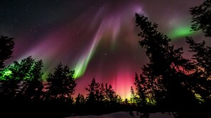 A night sky with visible aurora borealis and silhouetted trees. - Kierinki Village (Sodankyla)