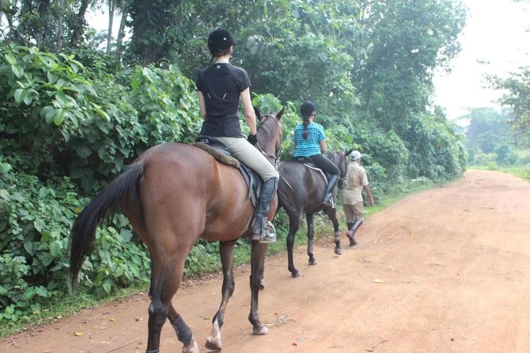 Un camino de tierra con tres personas montando a caballo.