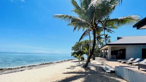 A beach with a pool area, palm trees, and a view of the ocean.