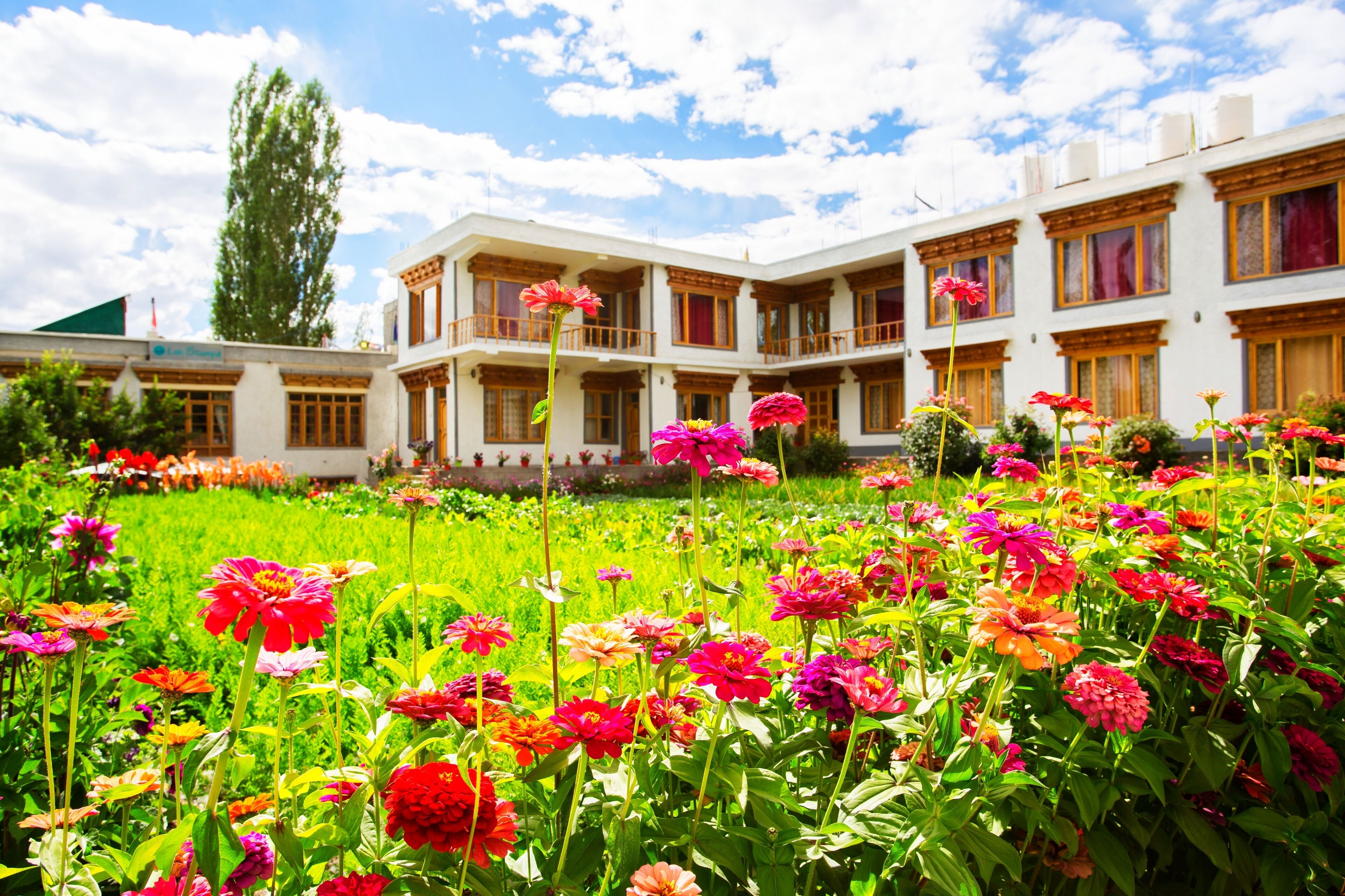 Enceinte de l’hébergement