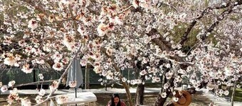 Leh Stumpa Upper Tukcha Road Leh