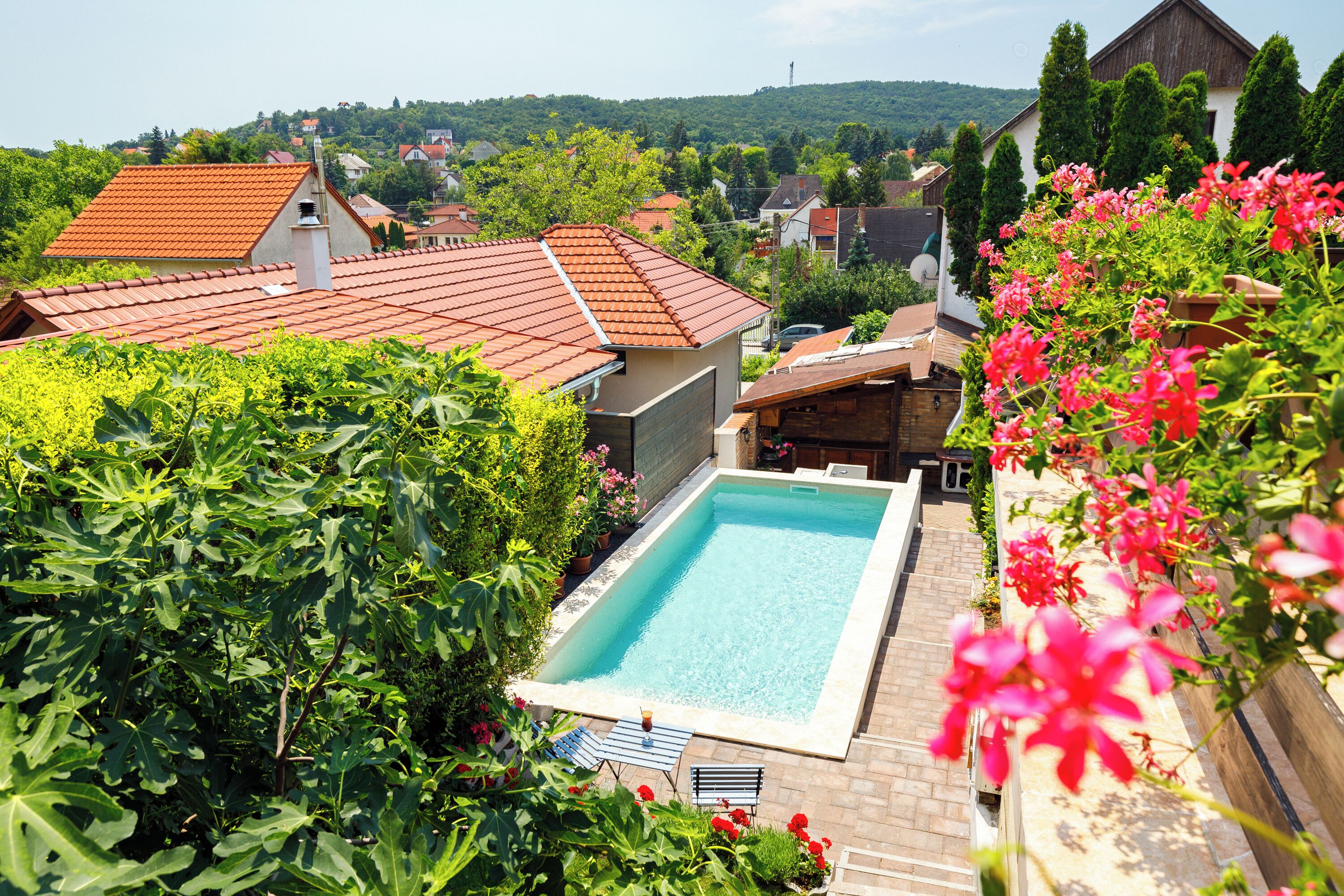 Ein rechteckiger Swimmingpool, umgeben von üppigem Grün und einem roten Ziegeldach.