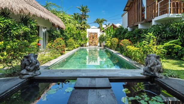 A pool with a thatched roof on one side and a wooden building on the other, surrounded by lush greenery.