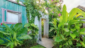 A garden with a wooden door, lush green plants, and a blue wall.