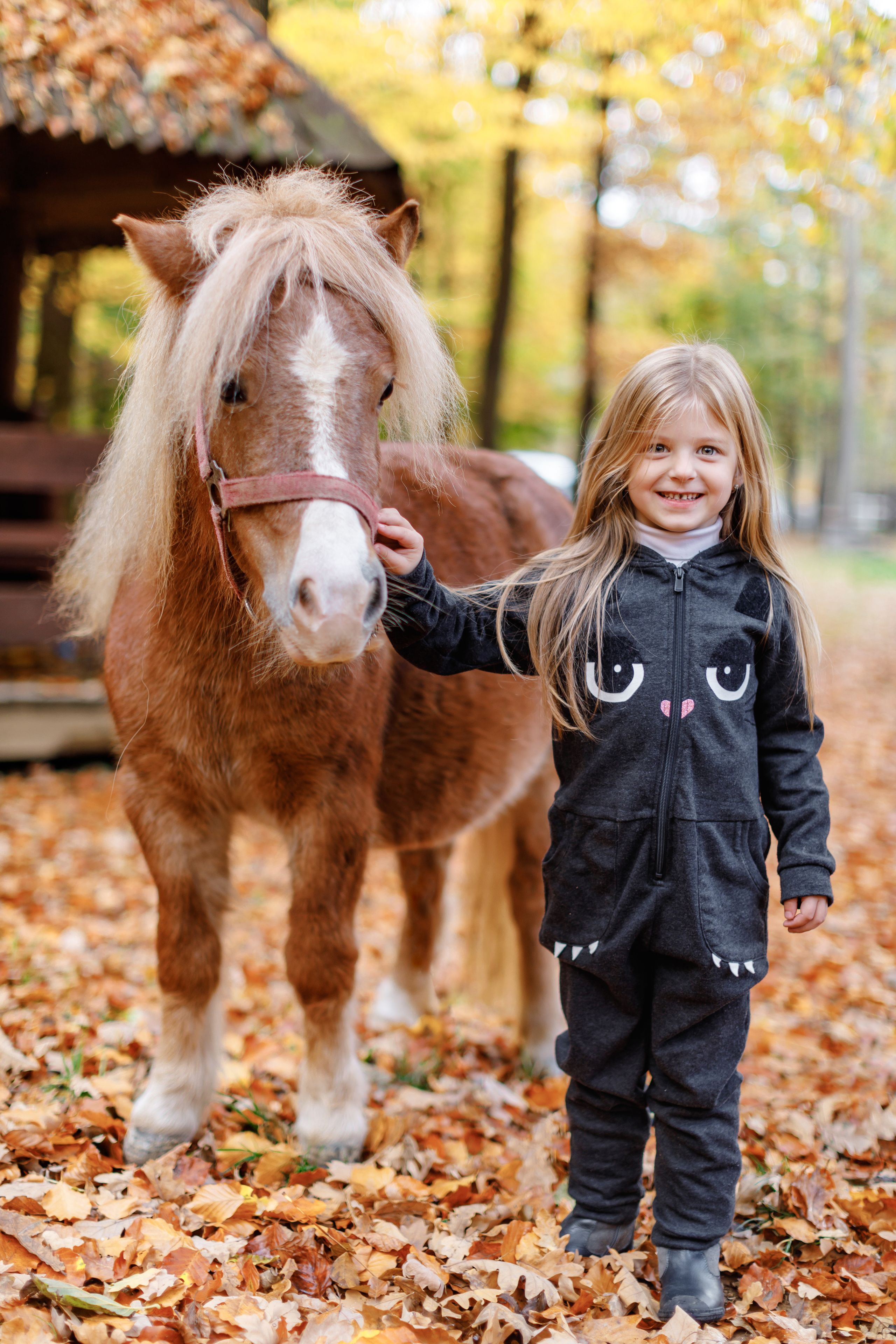 Un enfant, vêtu d’une combinaison représentant un chat noir, se tient à côté d’un cheval dans une zone boisée où les feuilles sont tombées.