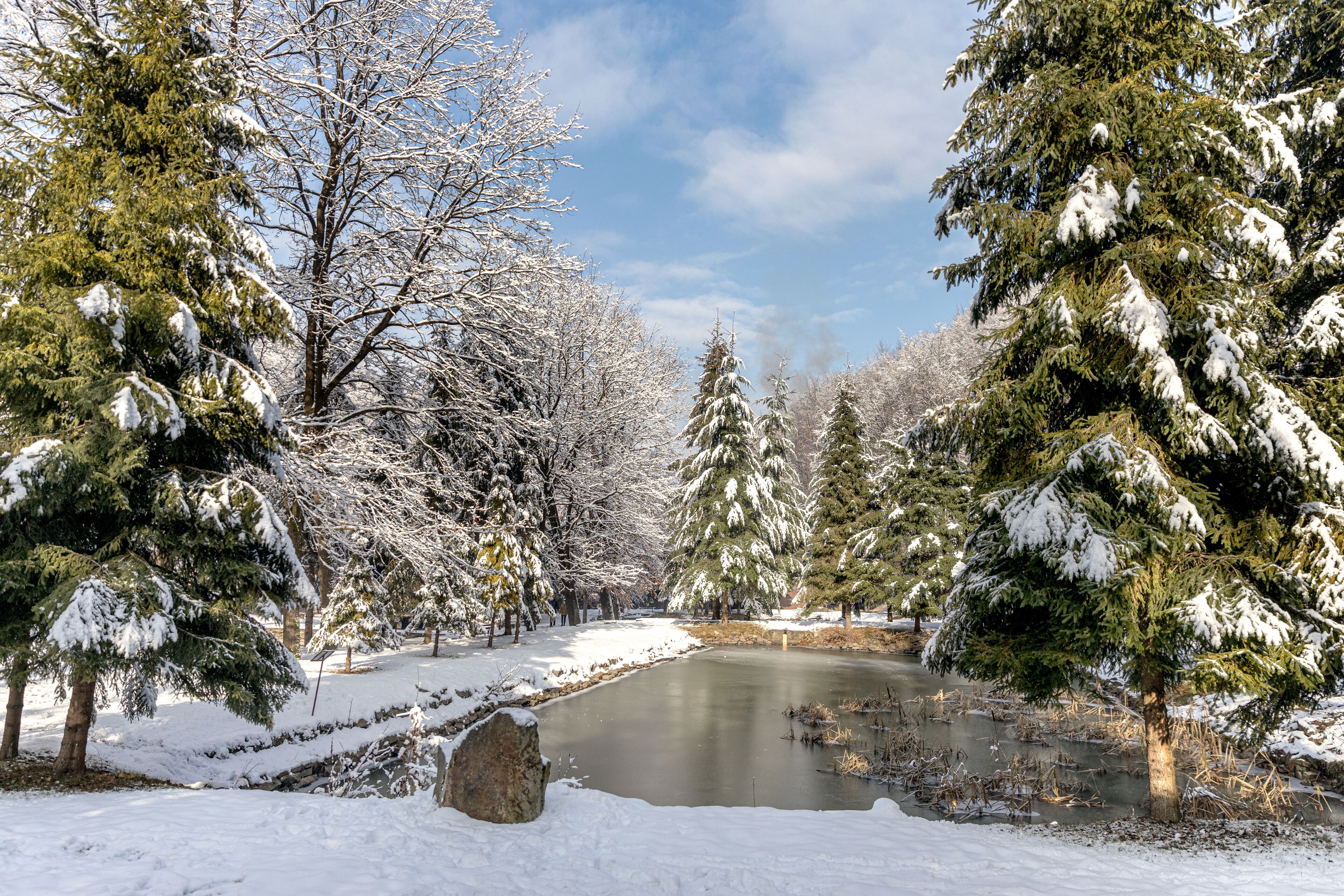 A serene winter landscape with a frozen pond surrounded by snow-covered trees.