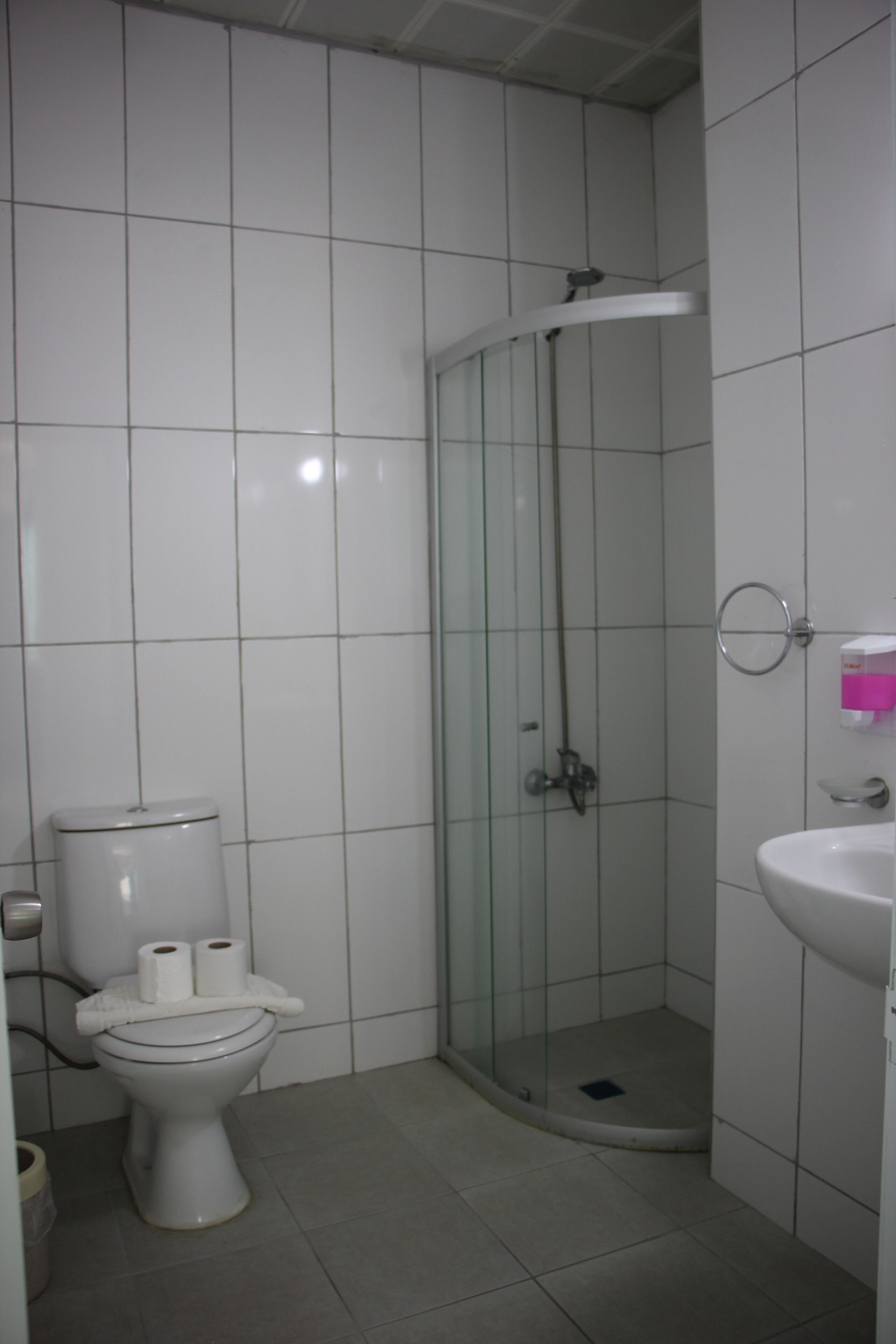 A bathroom with a toilet, a glass-enclosed shower, and a sink.