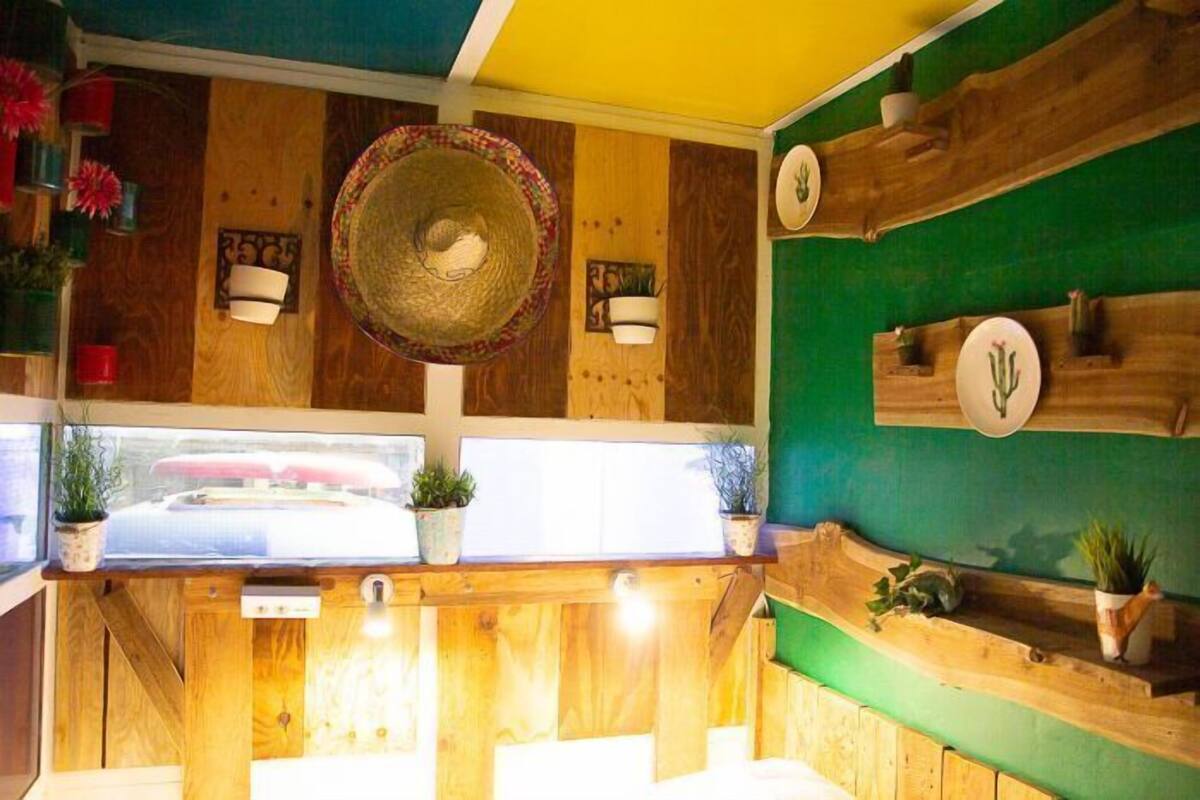 A room with wooden walls, a large woven basket hanging from the ceiling, and shelves with potted plants.