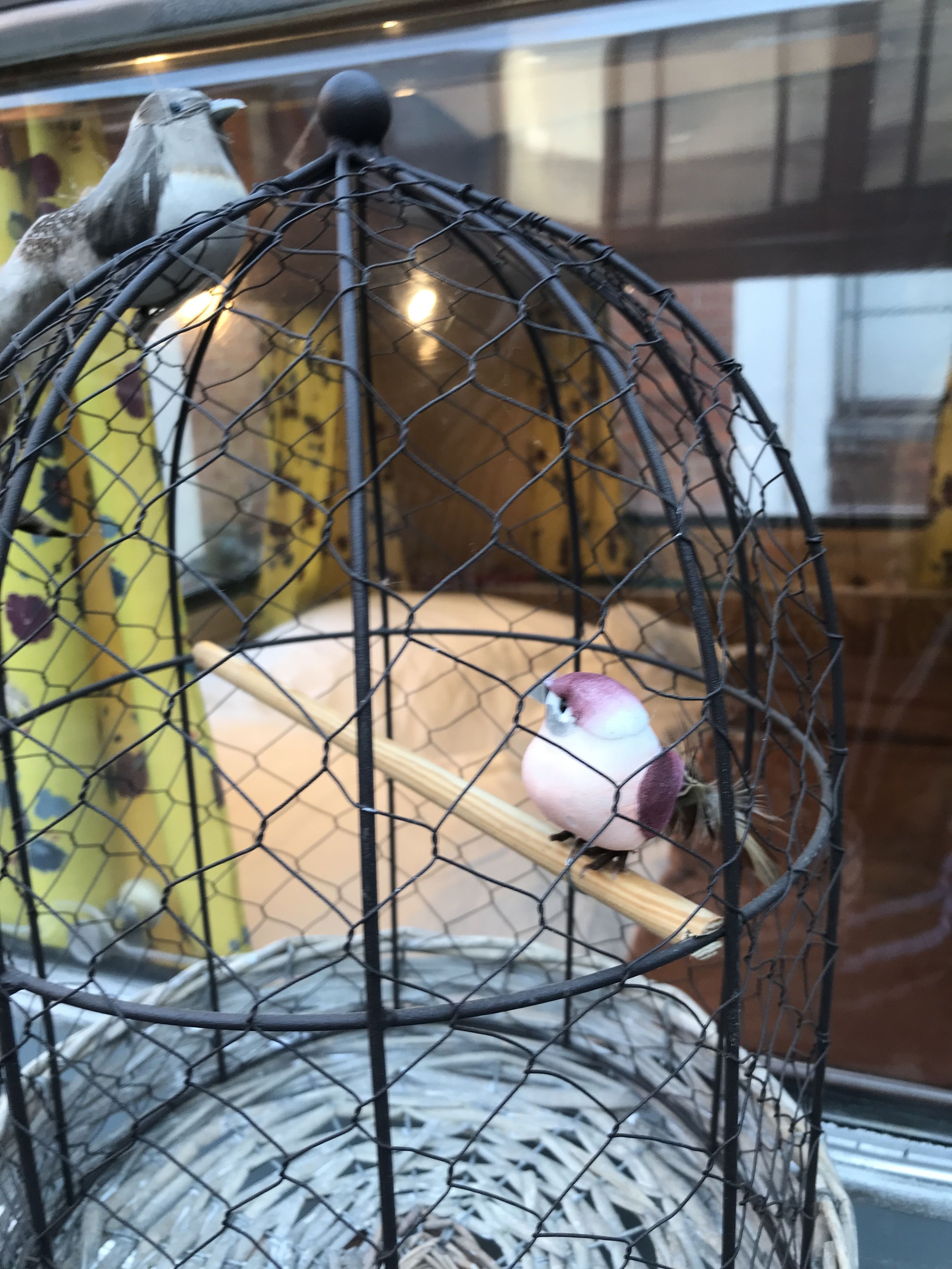 A birdcage with a bird inside, a wooden perch, and a glass base.