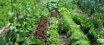 L'Estisora de Casa l'Hereu for 8 people