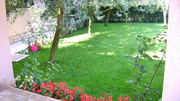 Khuôn viên nơi lưu trú