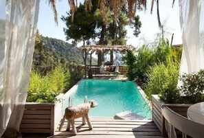 Outdoor pool, pool umbrellas, pool loungers - Villa Venus (Kas)