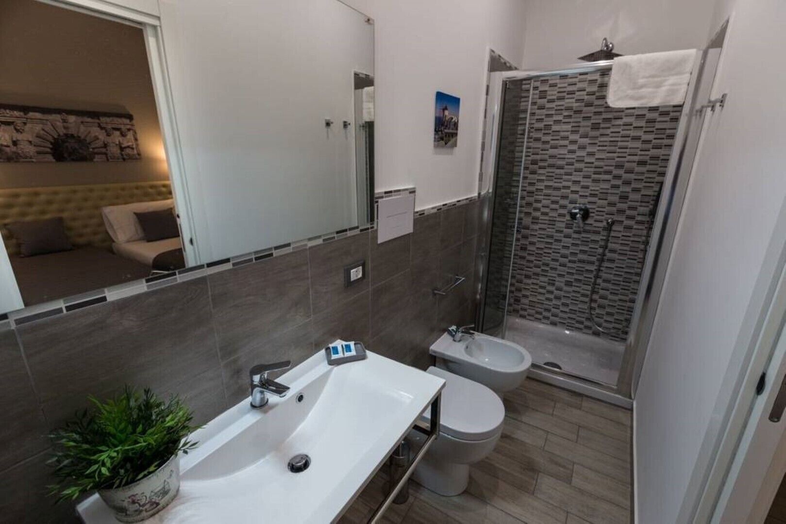 Shower, hair dryer, bidet, towels