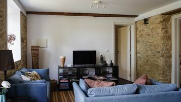 TV connectée, cheminée