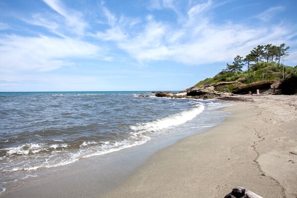 بالقرب من الشاطئ