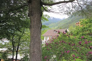 Garden - Chalet Cuore delle Alpi (Airolo)