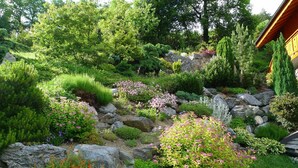 Ein Garten mit verschiedenen Pflanzen und Steinen.