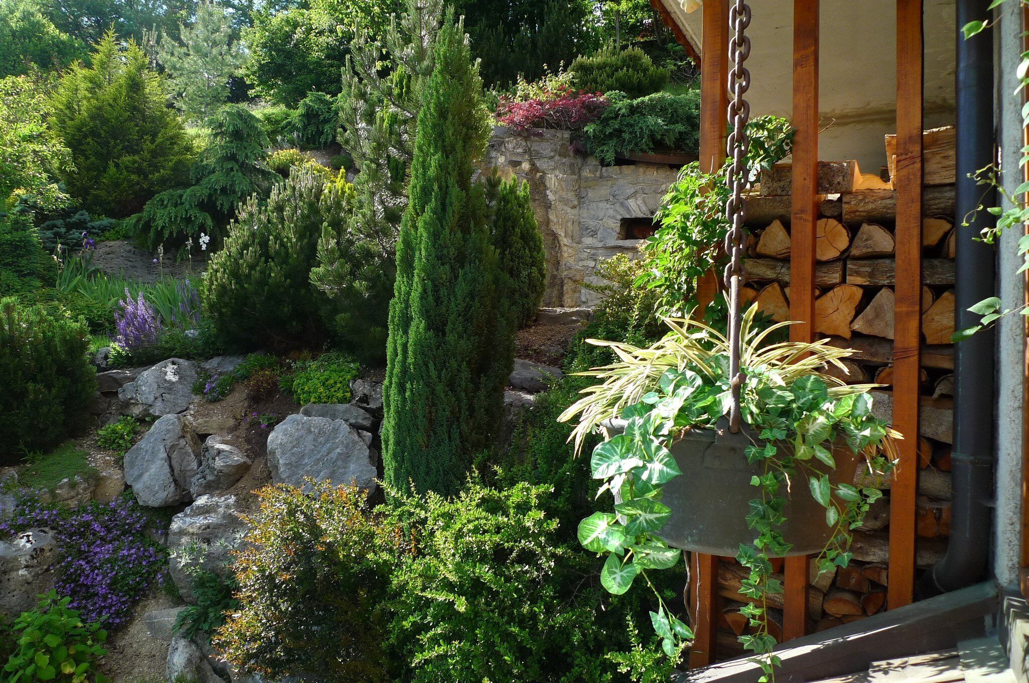 Un jardin avec un mur en pierre, différentes plantes et un pot suspendu.