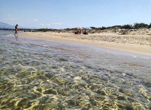 Ubicación a pie de playa y tumbonas