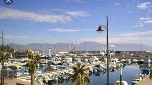 Un puerto deportivo con barcos amarrados, palmeras y un cielo despejado.