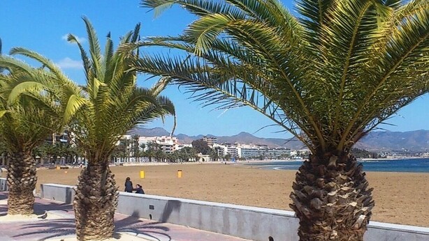 Un paseo marítimo frente a la playa con palmeras, arena y vistas al mar y montañas a lo lejos.