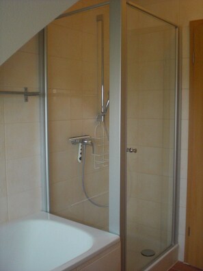 Combined shower/bathtub, hair dryer, bidet, soap