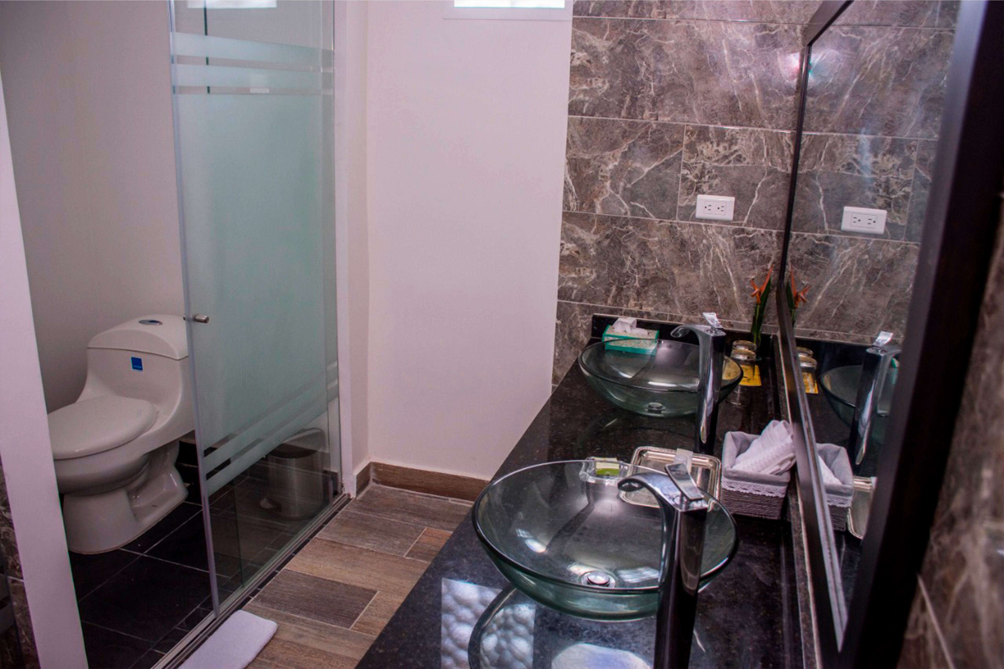 shower, free toiletries, hair dryer, bidet